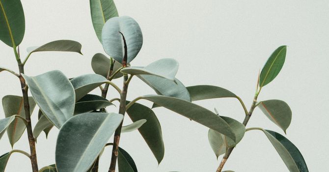 Individual counselling